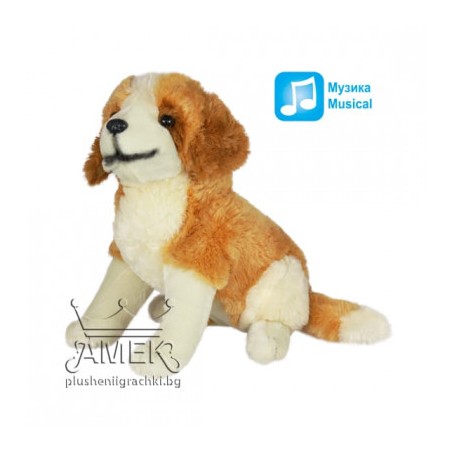 ΣΚΥΛΑΚΙ ΛΟΥΤΡΙΝΟ ΜΕ ΗΧΟ 37εκ.