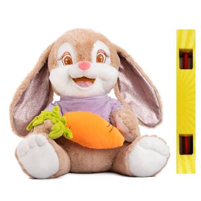 ΠΑΙΧΝΙΔΟΛΑΜΠΑΔΑ ΑΜΕΚ RABBIT SHIRT & CARROT 60CM