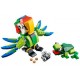 Ζώα Rainforest LEGO Creator 31031 