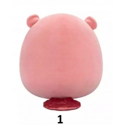 Squishmallows- Λούτρινα 30,5cm με Ανάγλυφο Μοτίβο W6 (6 σχέδια)/6