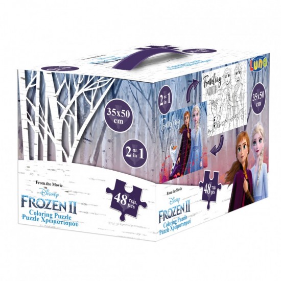 PUZZLE ΧΡΩΜΑΤΙΣΜΟΥ ΚΥΒΟΣ  2 ΟΨΕΩΝ 48TEM 50Χ35ΕΚ FROZEN 2